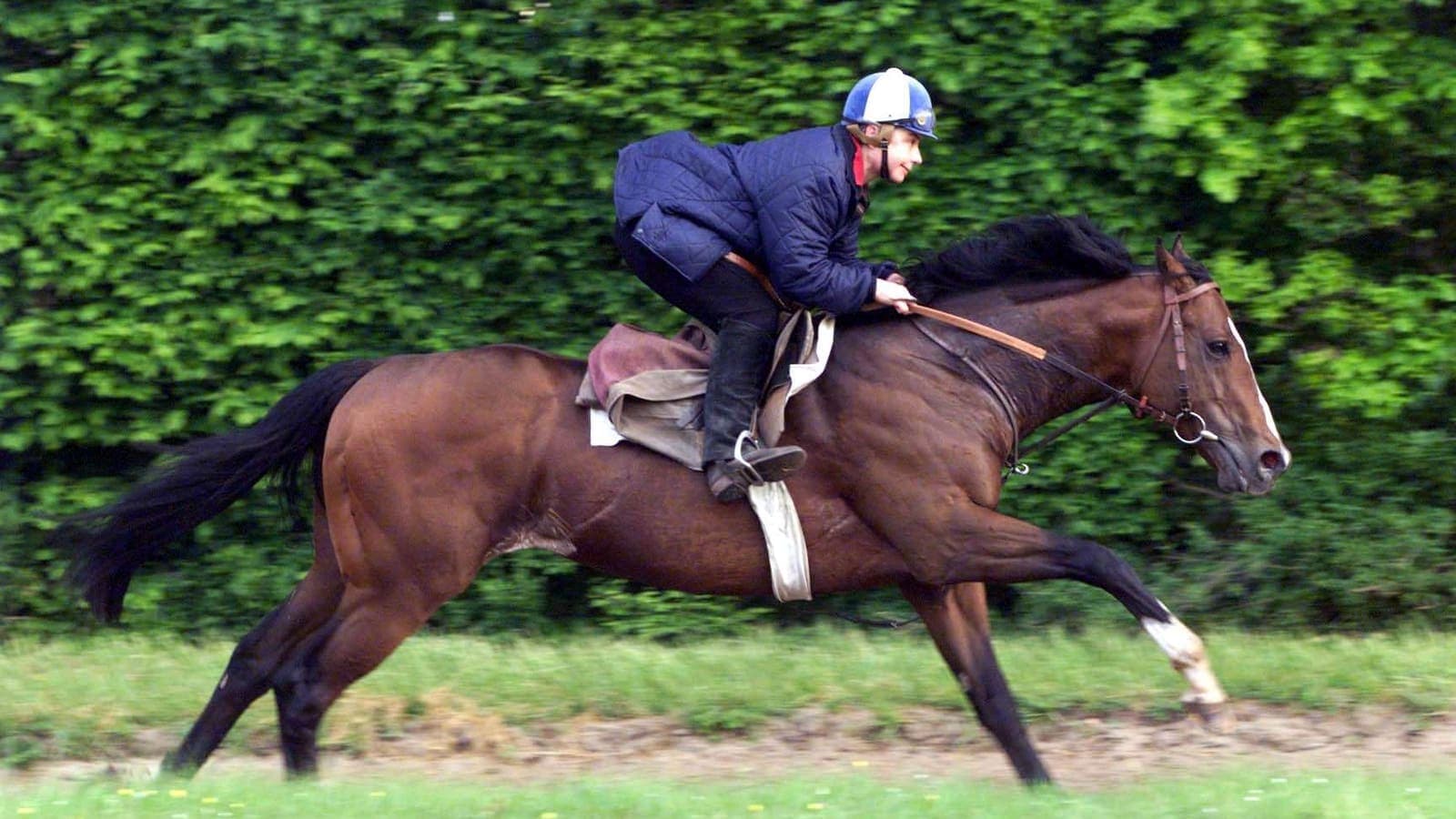 Propriétaire consultant la fiche de son cheval de course sur iPhone, illustrant une application dédiée au propriétaire pour suivre son cheval.