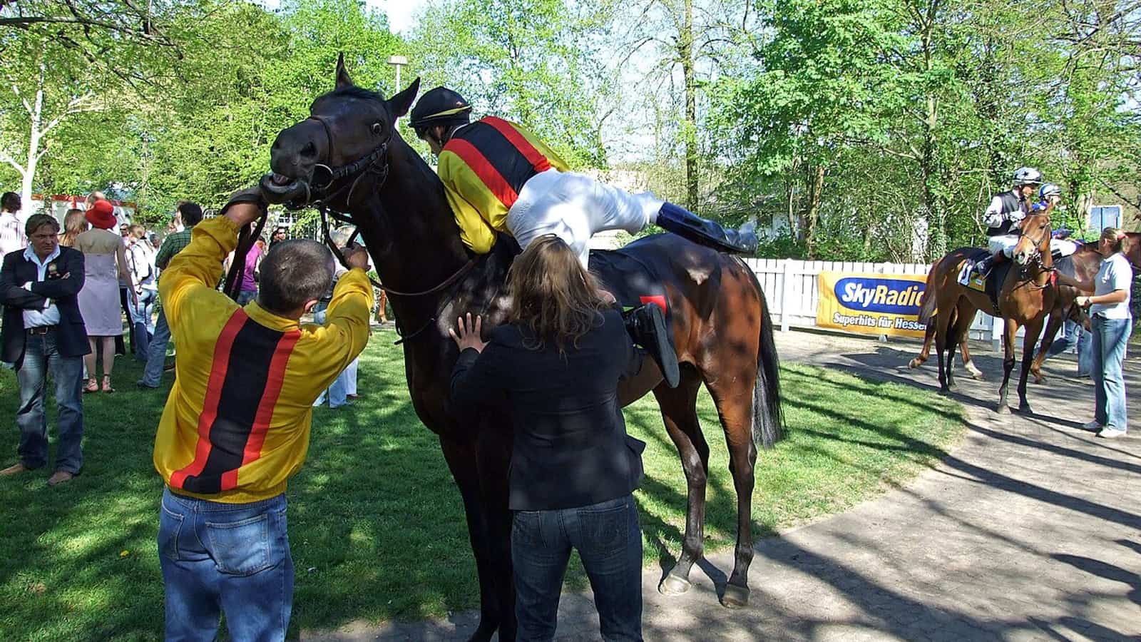 Programme officiel d'une course affichant les noms des chevaux engagés en France.