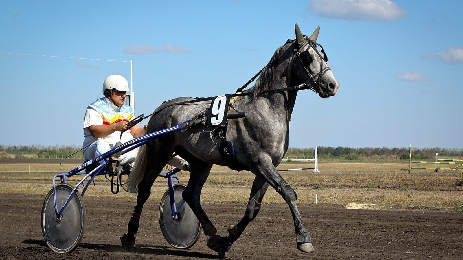 Chevaux de trot attelés sur la piste de l'hippodrome de Grenade-sur-Garonne dans le Sud-Ouest.