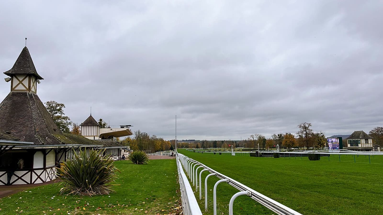 Chevaux de galop sur la piste de l'hippodrome de Compiègne en lisière de forêt, dans l'Oise.
