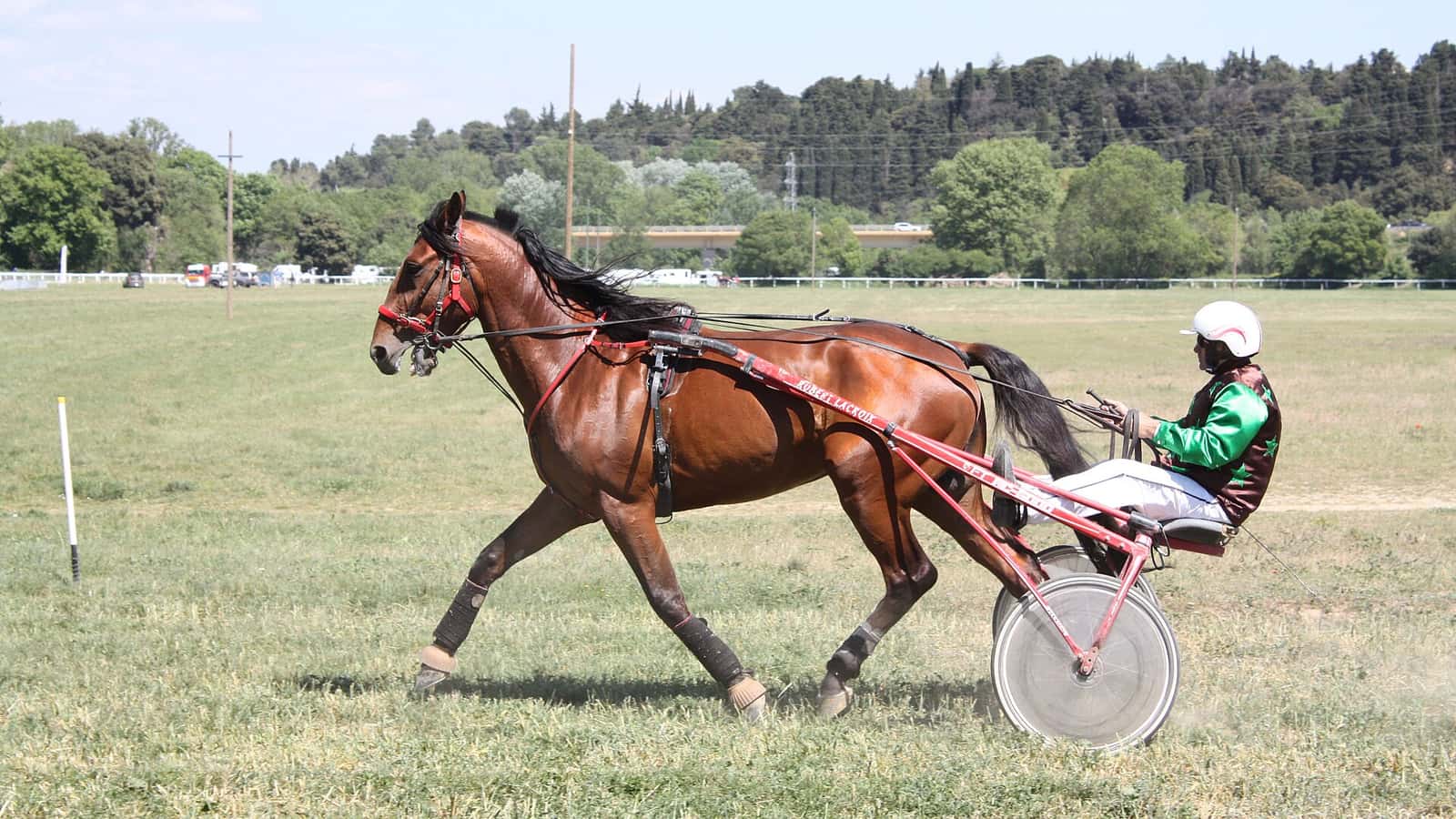 Chevaux de trot attelé en course sur un hippodrome de la région parisienne, illustrant l'hippodrome d'Enghien dédié au trot et à l'obstacle.
