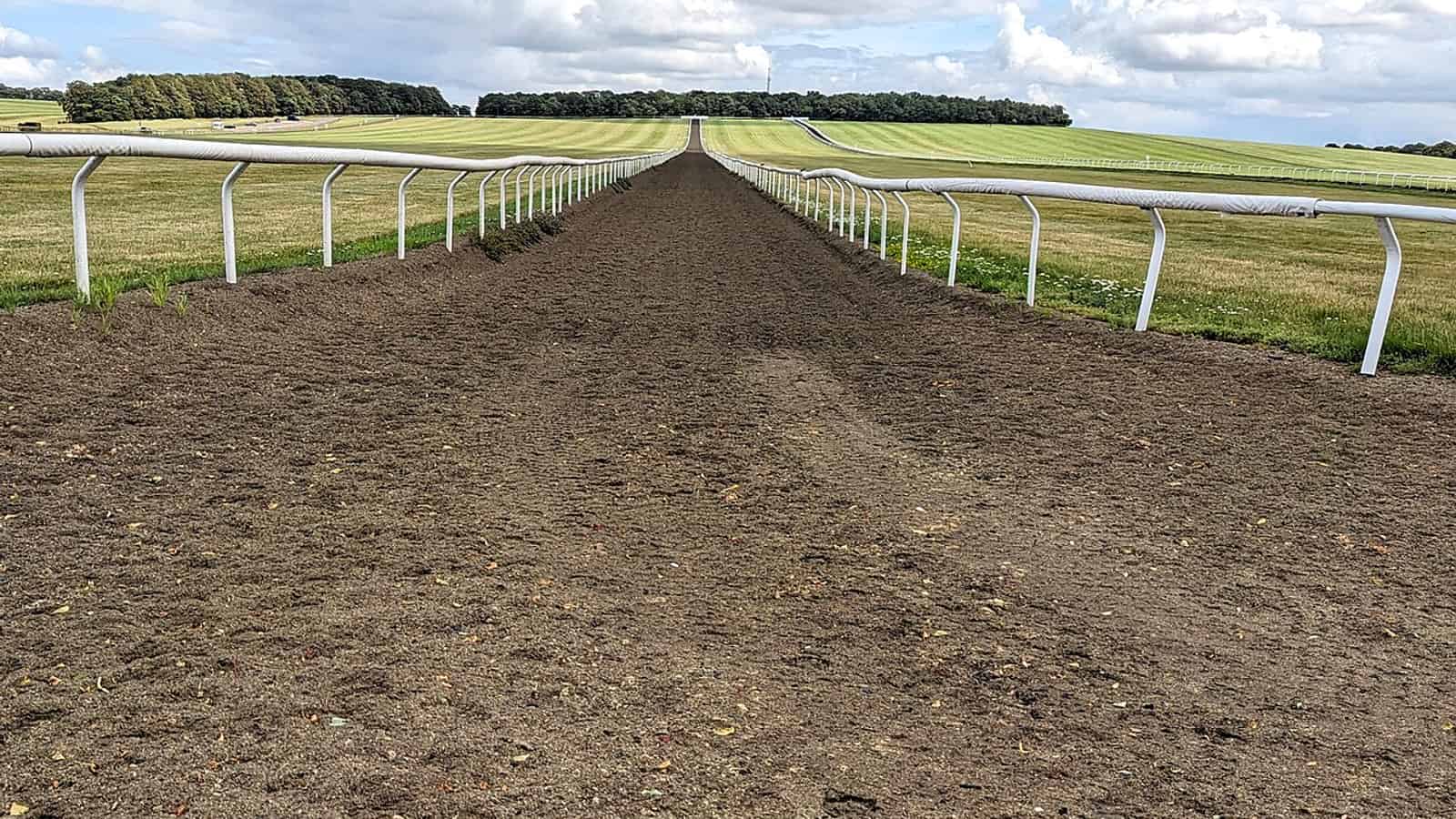 Lad notant le travail du matin sur un logiciel de suivi des chevaux de course depuis son iPhone à l'écurie.