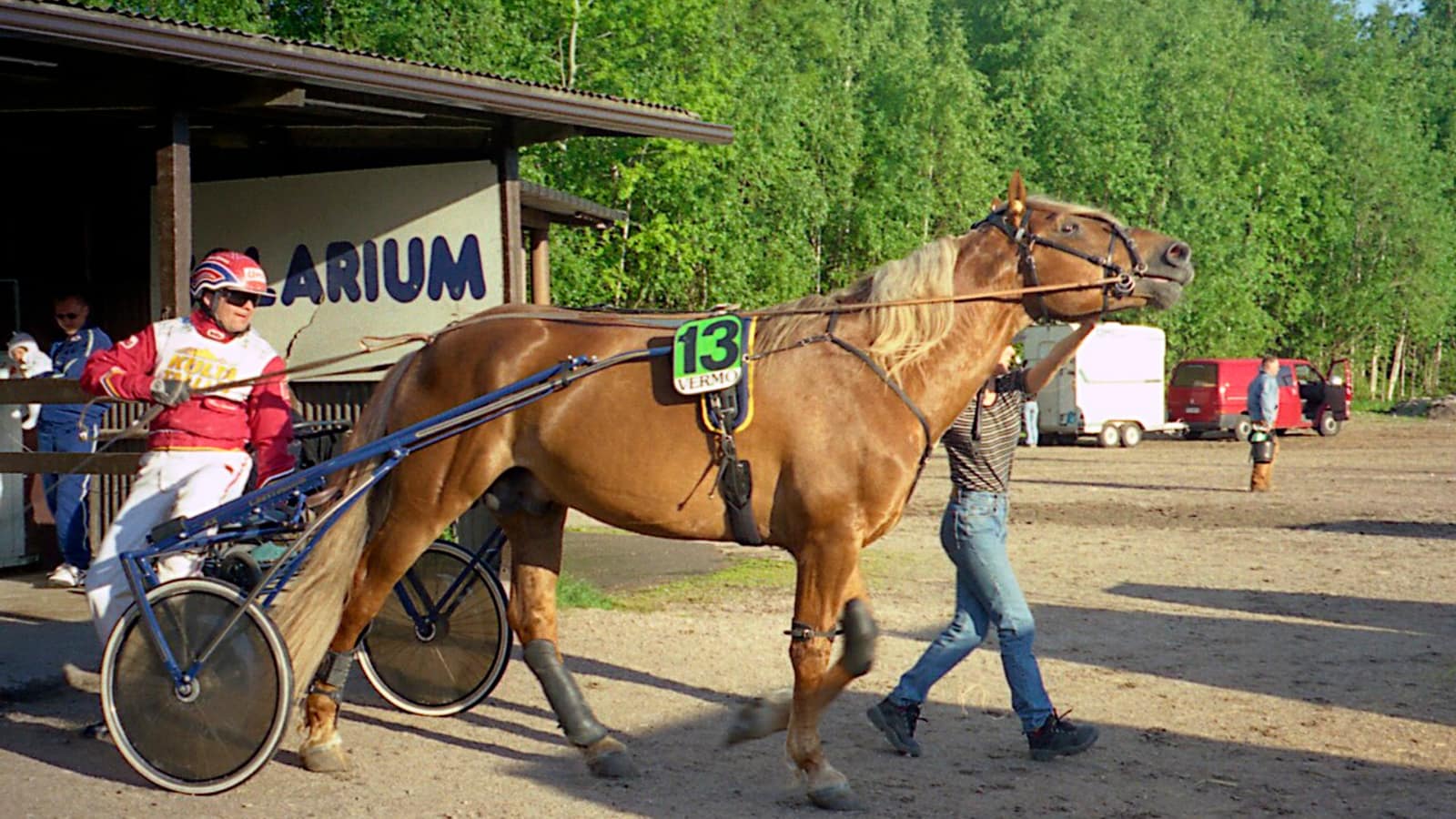 Vaccination d'un cheval de course en box d'écurie, illustrant le calendrier vaccinal exigé pour courir.