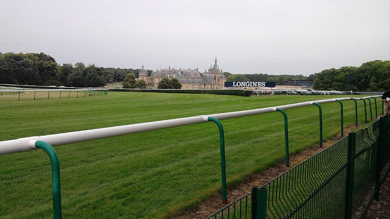 Chevaux de course au galop sur une piste d'entraînement à Chantilly, capitale française de l'entraînement au galop.
