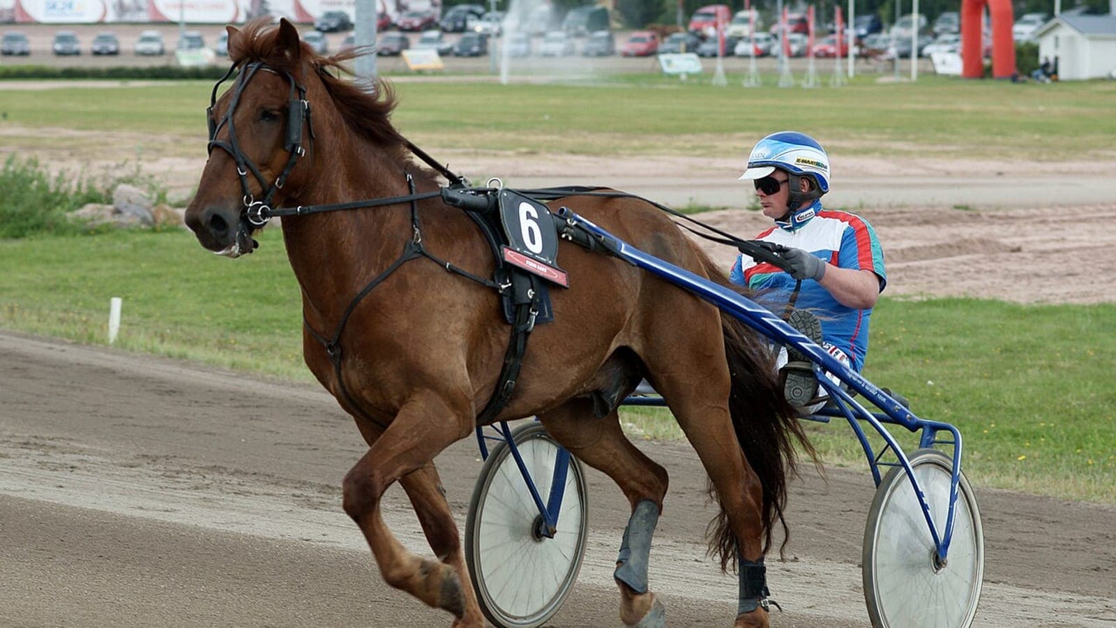 Chevaux de trot attelés en course sur la piste de l'hippodrome de Vincennes, temple du trot, lors du Prix d'Amérique.